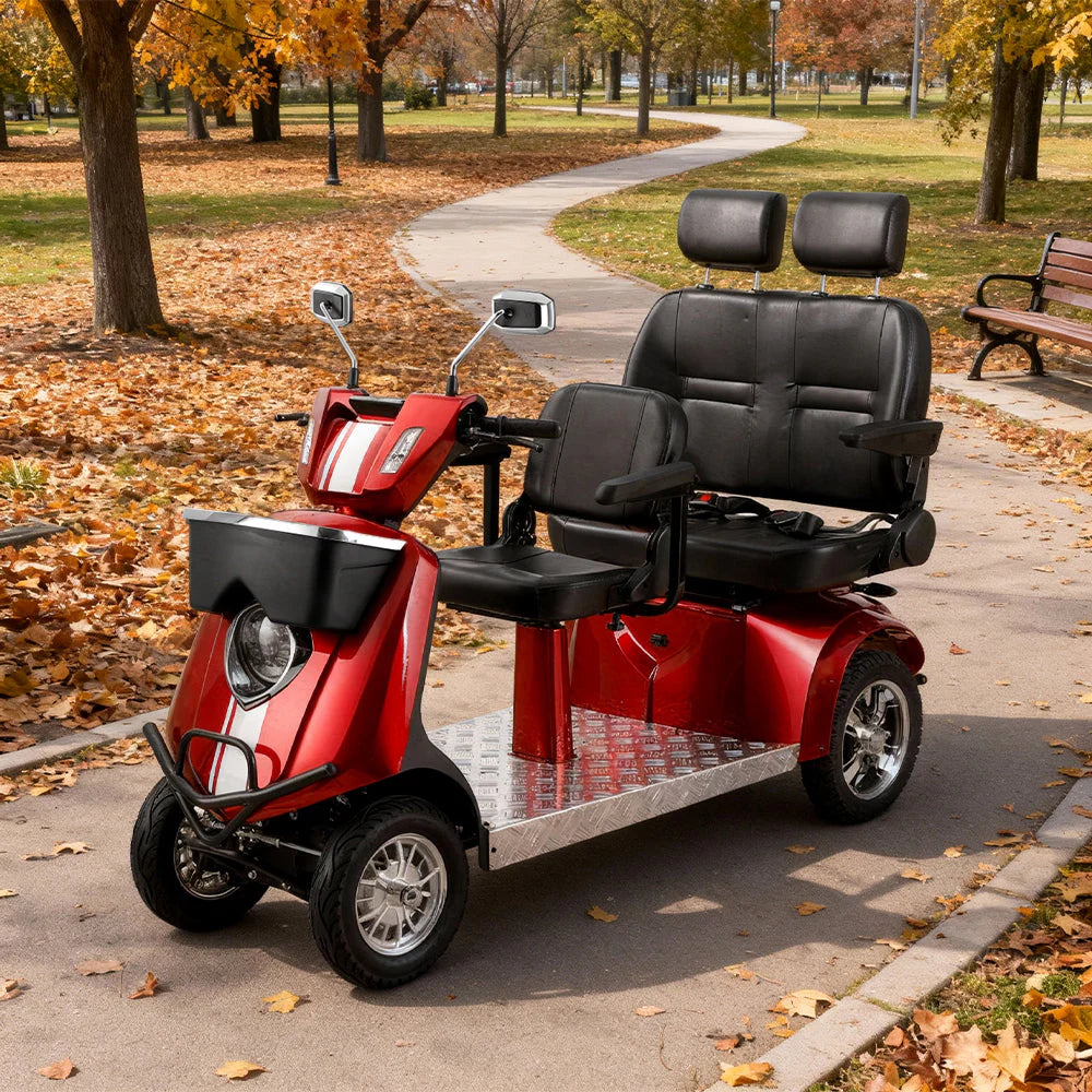 Dual-Seat Electric Mobility Scooter — 1000W 60V, 270kg Capacity JXY6D