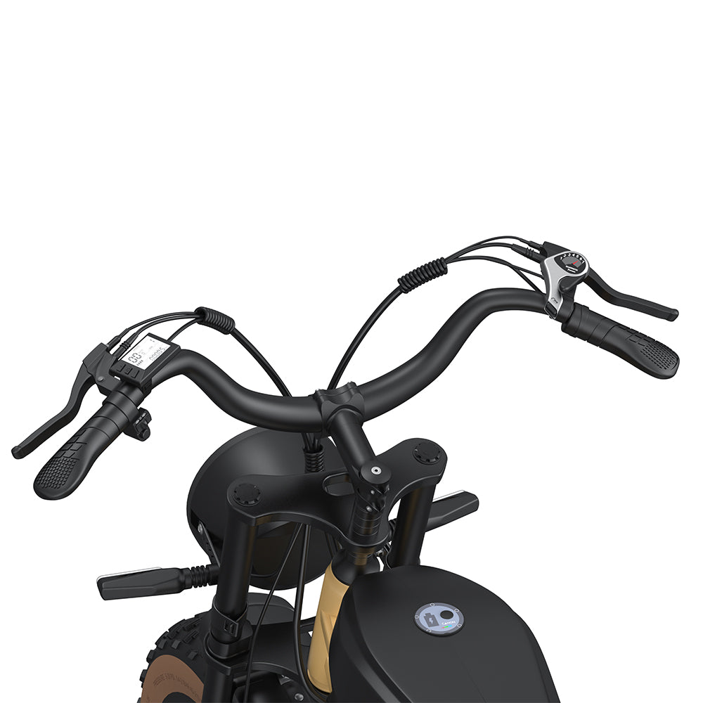 High-Carbon Steel Electric Bike — 750W Brushless Drive, 5 Speed Levels