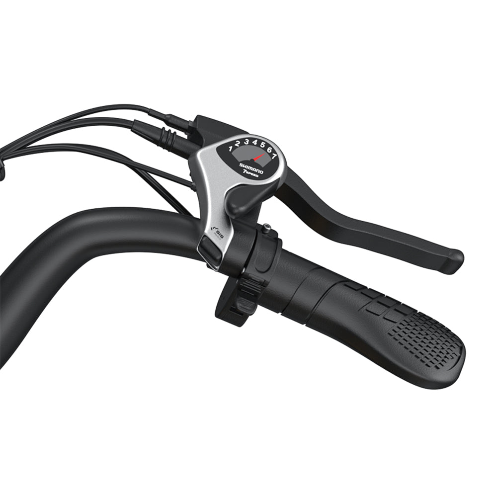 High-Carbon Steel Electric Bike — 750W Brushless Drive, 5 Speed Levels