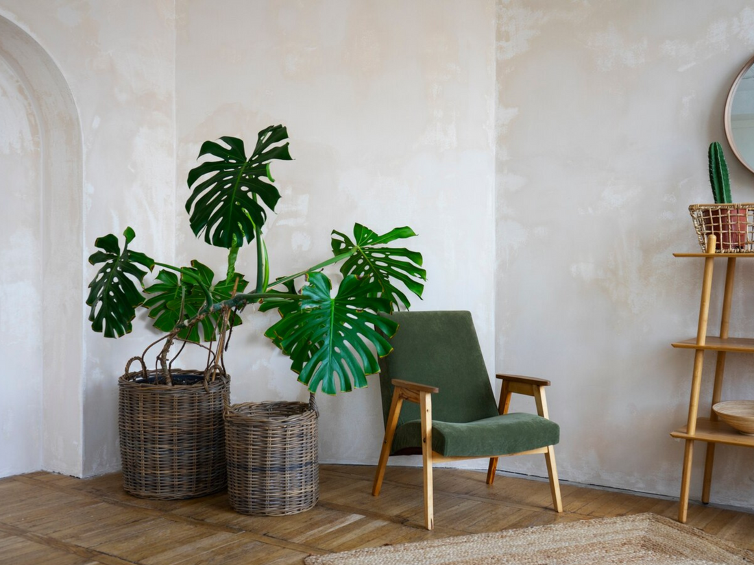 Home Décor Trends in 2025: What’s In & What’s Out?