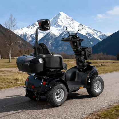 Foldable Electric Mobility Scooter — 1000W 60V, 220kg Capacity-DJD2D