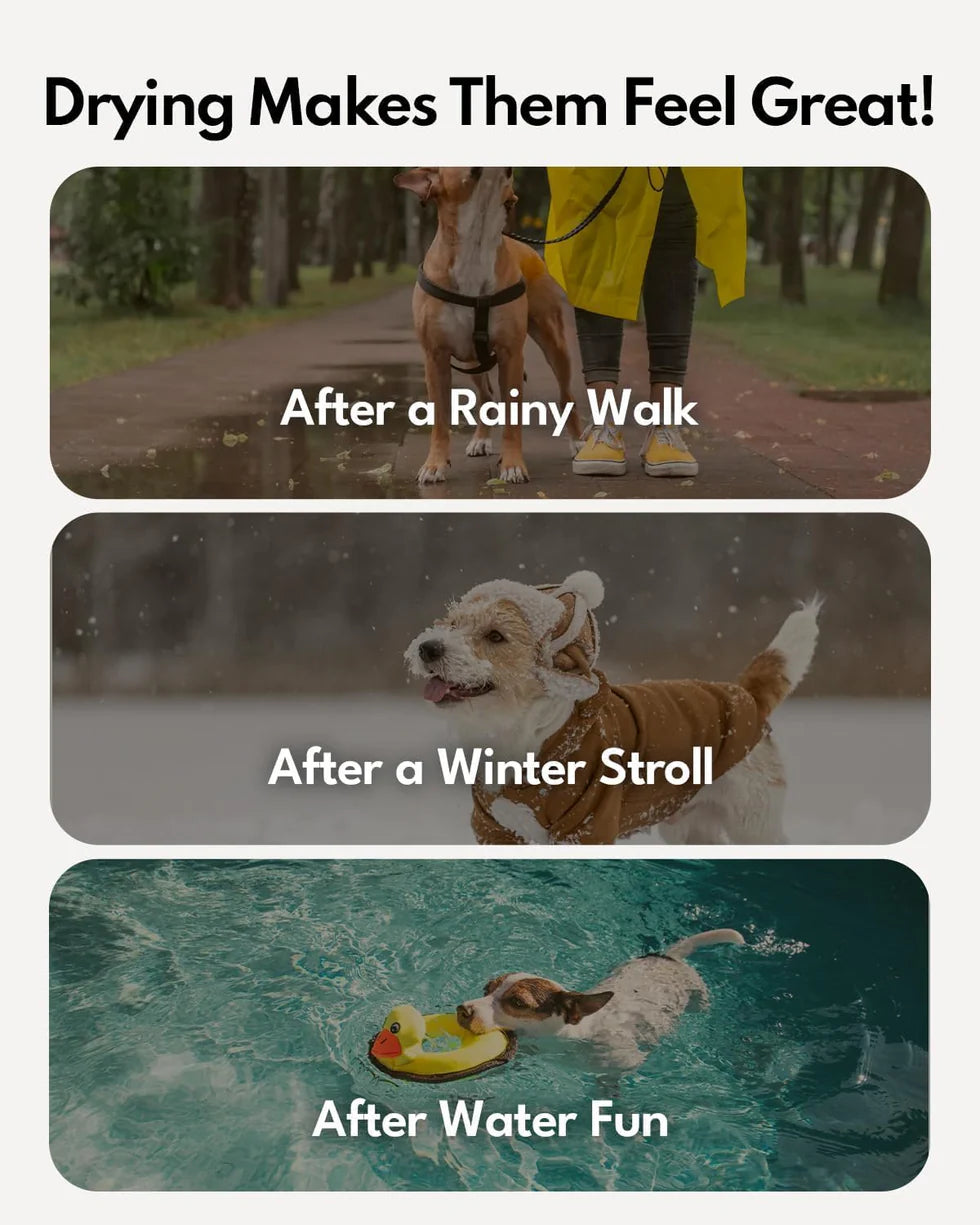 Homerunpet Drybo Ultra Pet Dryer Box