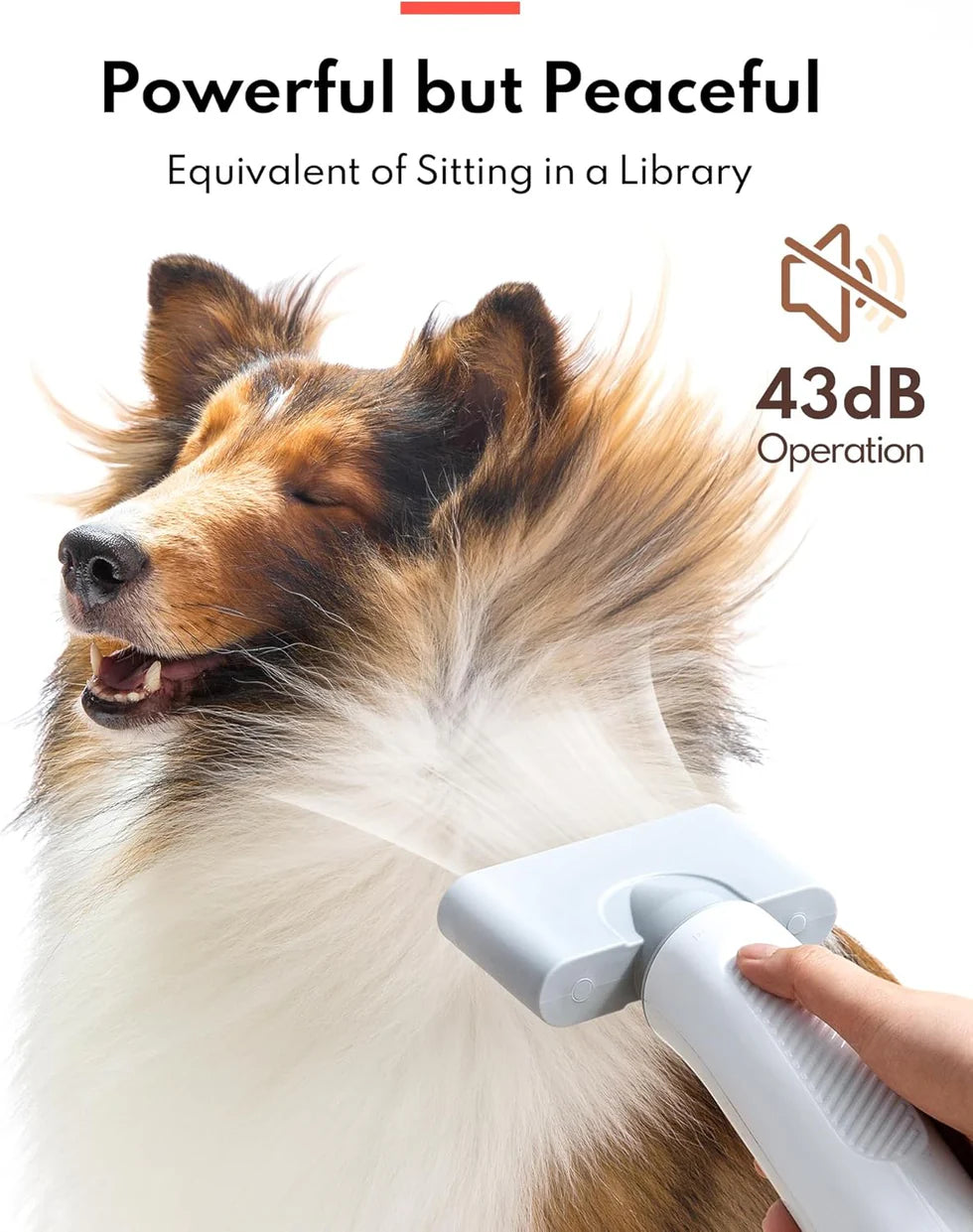 Homerunpet Pet Dryer (PD10)