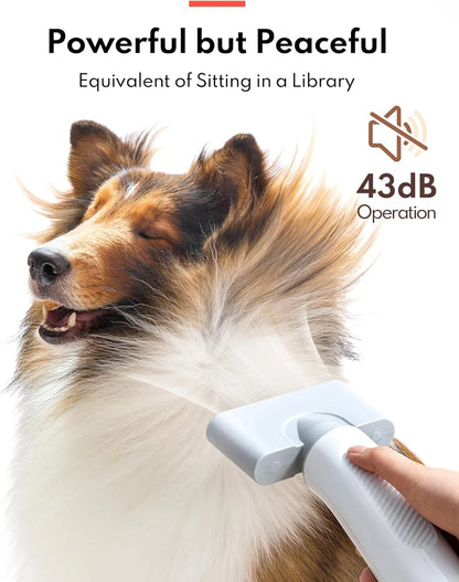 Homerunpet Pet Dryer (PD10)