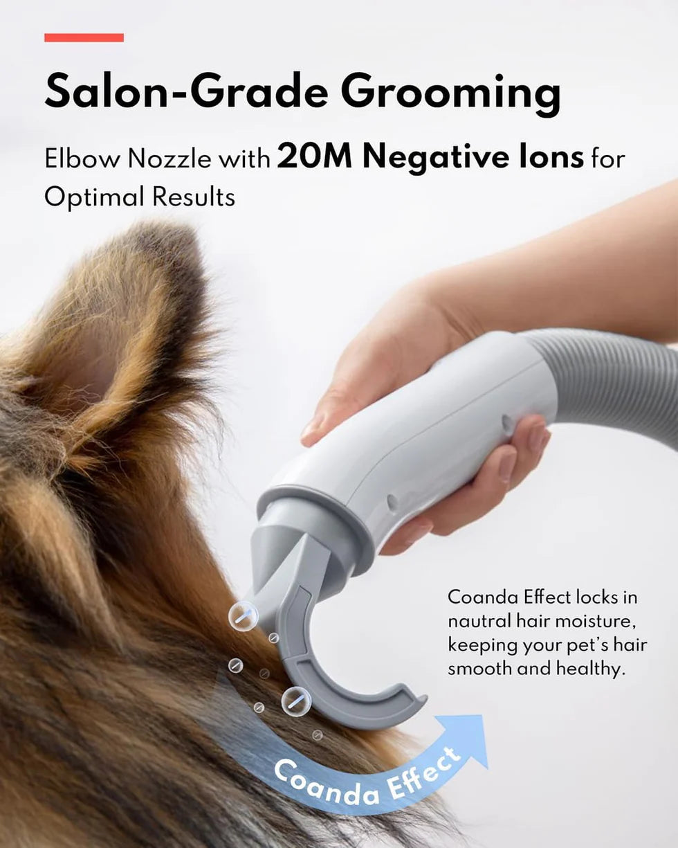 Homerunpet Pet Dryer (PD10)