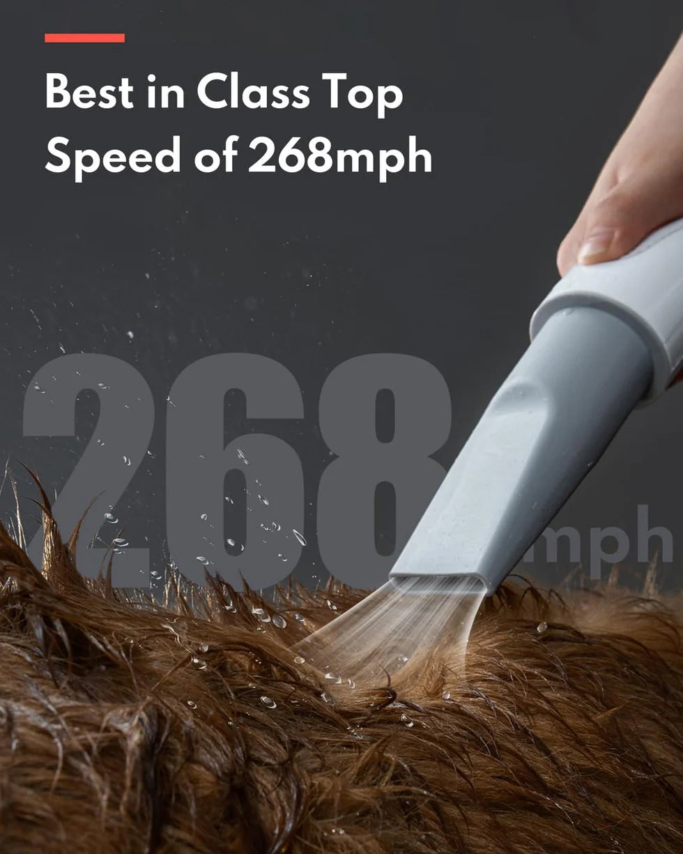 Homerunpet Pet Dryer (PD10)