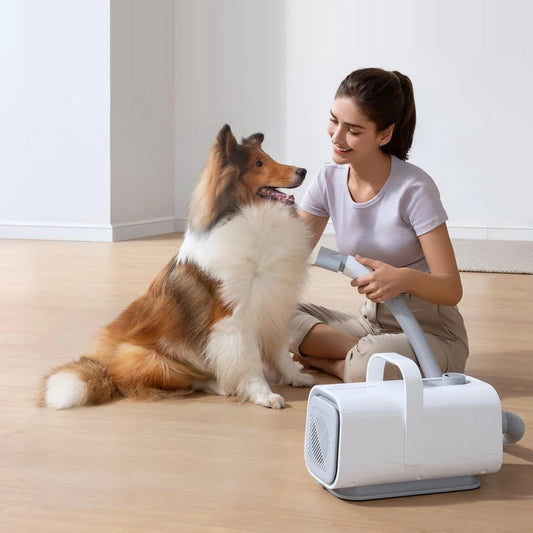 Homerunpet Pet Dryer (PD10)