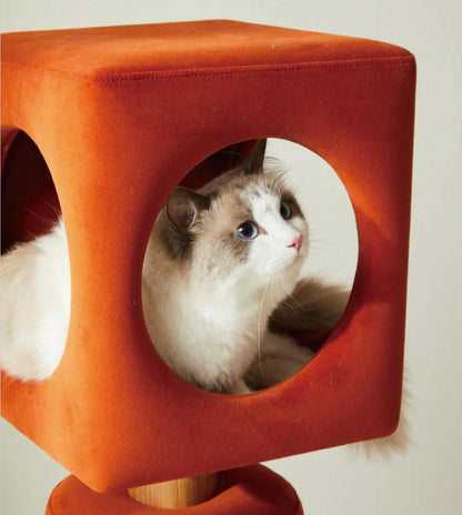 Water Bottle Shaped Cat Crawling Shelf Pet Cabin Cat Tree