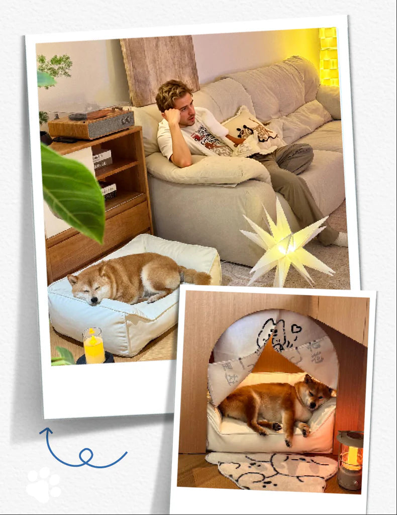 CasaDosa Pet Sofa Dog Bed Cat Couch Portable Comfortable Scratches Leather Four Seasons Use