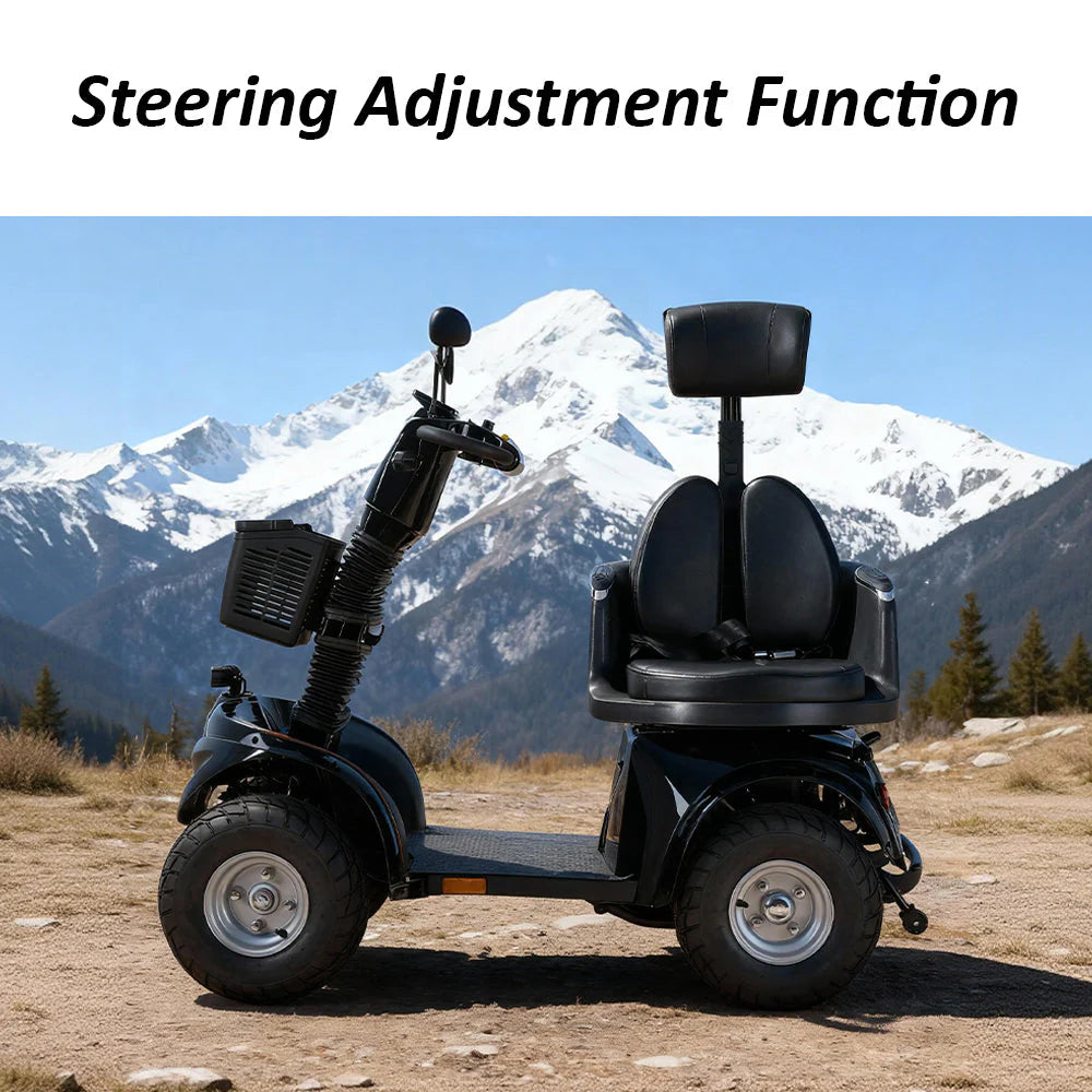 Foldable Electric Mobility Scooter — 1000W 60V, 220kg Capacity-DJD2D