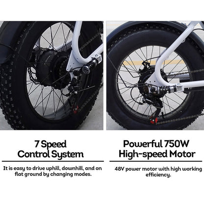 750W 48V 20-inch Electric Bike – Compact & Urban-Ready