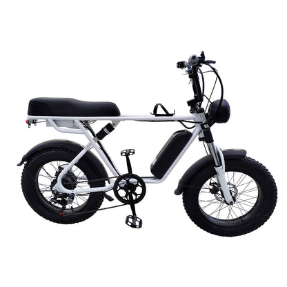 750W 48V 20-inch Electric Bike – Compact & Urban-Ready