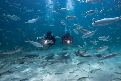 BlueDrive X PRO Power Fin Underwater Jet Set - Dual Battery System