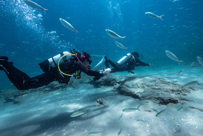 BlueDrive X PRO Power Fin Underwater Jet Set - Dual Battery System