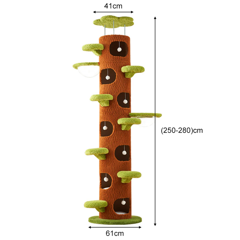Multi-Functional Tree Hollow Cat Tree | High-Transparency Capsule Condo