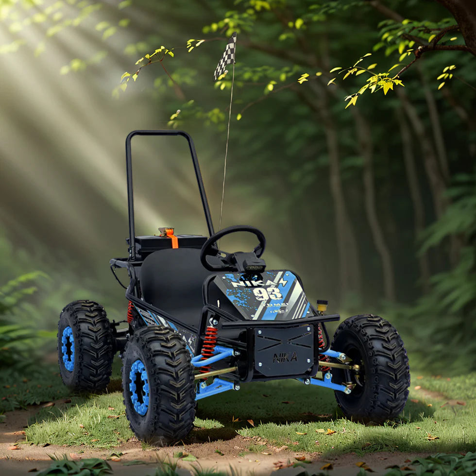 1000W Off-Road Electric Go Kart with Brushless Motor