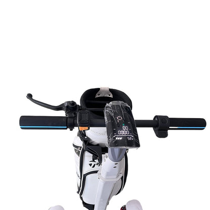 ESWING ES-M12-3 handlebar and display