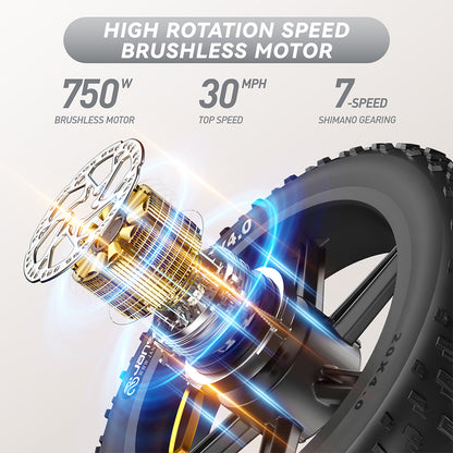 High-Carbon Steel 750W Electric Bike – 5 Speed Levels