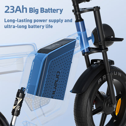 High-Carbon Steel 750W Electric Bike – Rugged Build