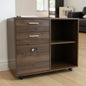 2-Drawer Locking File Cabinet with Partitioned Storage & Open Shelves