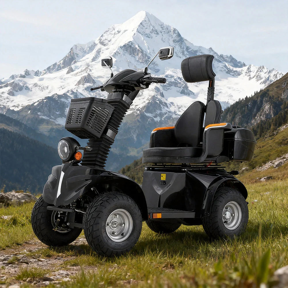Adjustable Electric Mobility Scooter — 1000W 60V, 220kg Capacity