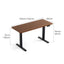 Electric Standing Desk