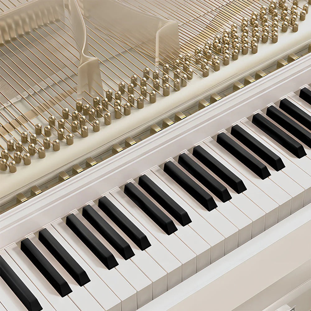 Betsy 88 Key Full Size Weighted 2 in 1 Digital Piano Dress Table With Bench