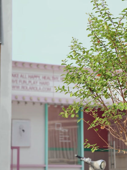 Urban Culture Homes Magnesium Alloy Ride-On Balance Bike | Lightweight Training Bicycle for Ages 3-7