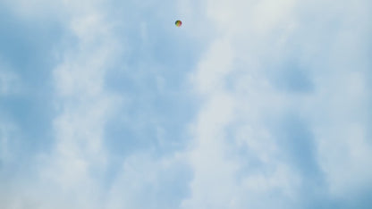 Smart Robotic Lawn Mower with 300° AI Vision - AIRSEEKERS TRON