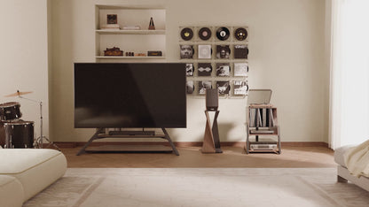Modern Style Record Storage & Audio Rack — Sleek, Functional Design